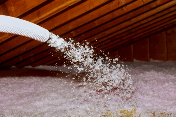 Best Energy Efficiency Solutions in Sanford, FL