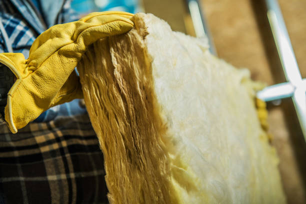 Best Types of Insulation in Sanford, FL